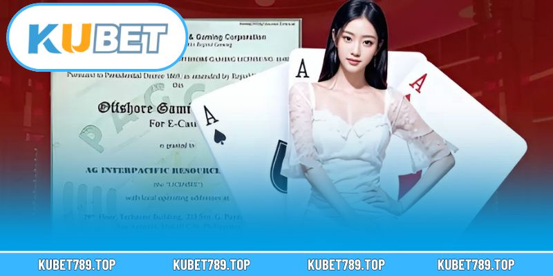 Lý do giấy phép lại quan trọng với người chơi