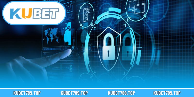 Quyền và trách nhiệm của người dùng trong chính sách riêng tư