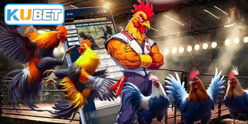 Đá gà trực tiếp