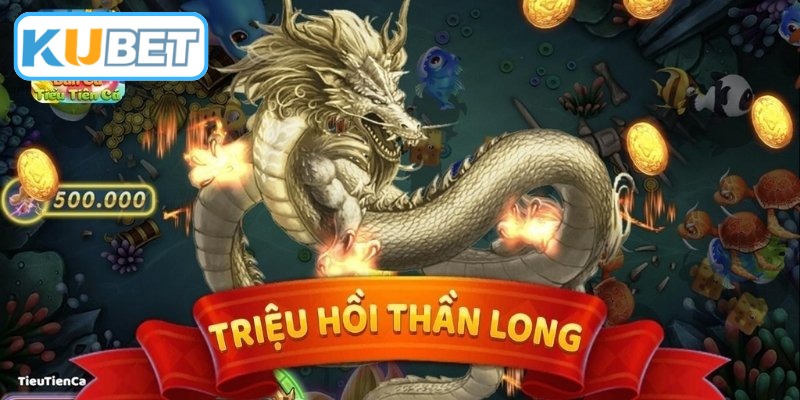 Phương pháp săn cá hiệu quả dưới đại dương